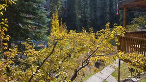 A wooden deck with a hanging bird feeder, surrounded by trees with yellow leaves, and a stone pathway leading to a cabin in a forested area. - West Vail Riverfront Lodging, Colorado (Vail)