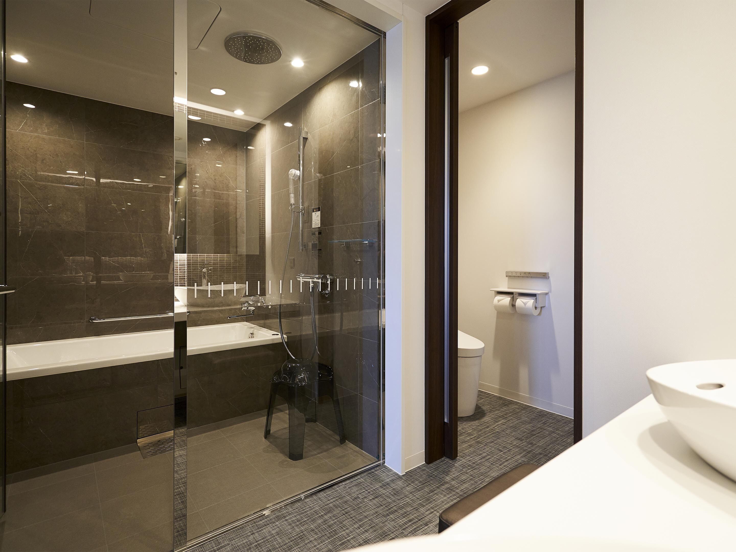 free toiletries, hair dryer, slippers, electronic bidet