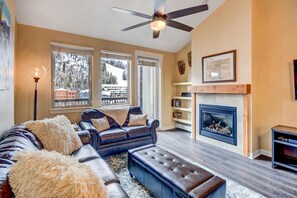 Smart TV, fireplace, Hulu, books