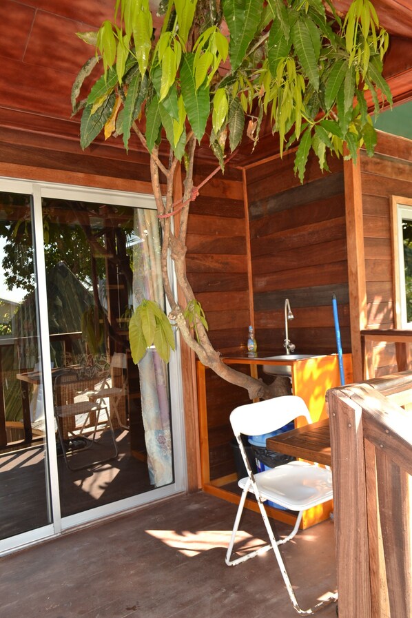 Outdoor dining - Noah's hut in a hundred-year-old mango tree (Kribi)