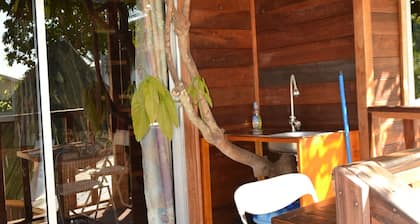 Cabane à Noé dans un Manguier centenaire
