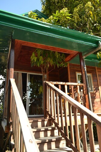 Noah's hut in a hundred-year-old mango tree