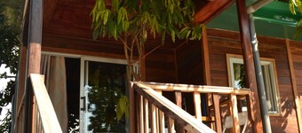 Noah's hut in a hundred-year-old mango tree