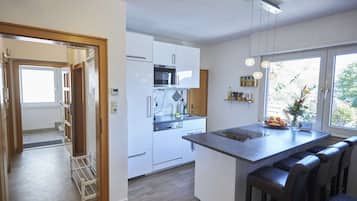 Fridge, microwave, stovetop, dishwasher