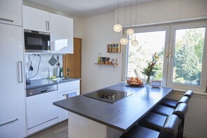 Réfrigérateur, micro-ondes, plaque de cuisson, lave-vaisselle