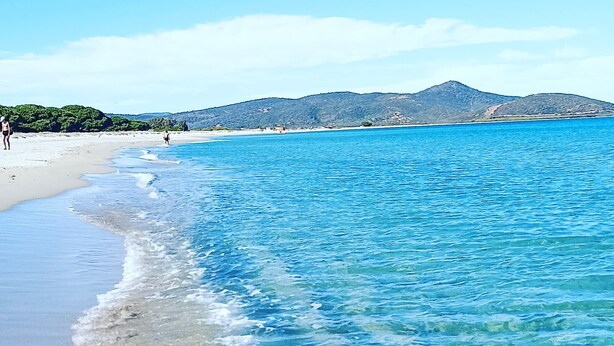 A beach with clear water, a sandy shore, and distant hills.