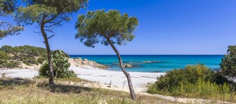 Apartment 'Delta 3' Close to the Beach with Garden, Terrace & Barbecue