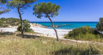 Apartment 'Delta 3' Close to the Beach with Garden, Terrace & Barbecue