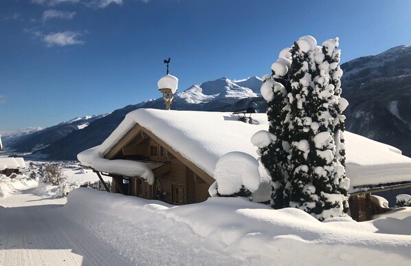 Ein mit Schnee bedecktes Holzhaus mit geneigtem Dach, ein verschneiter Baum und eine Bergkulisse im Hintergrund.