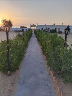 Nicht klassifiziertes Bild, 4 von 25, Schaltfläche