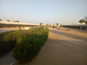 Nicht klassifiziertes Bild, 5 von 25, Schaltfläche