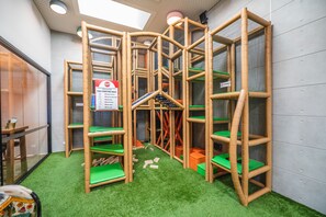 Área de juegos infantiles bajo techo