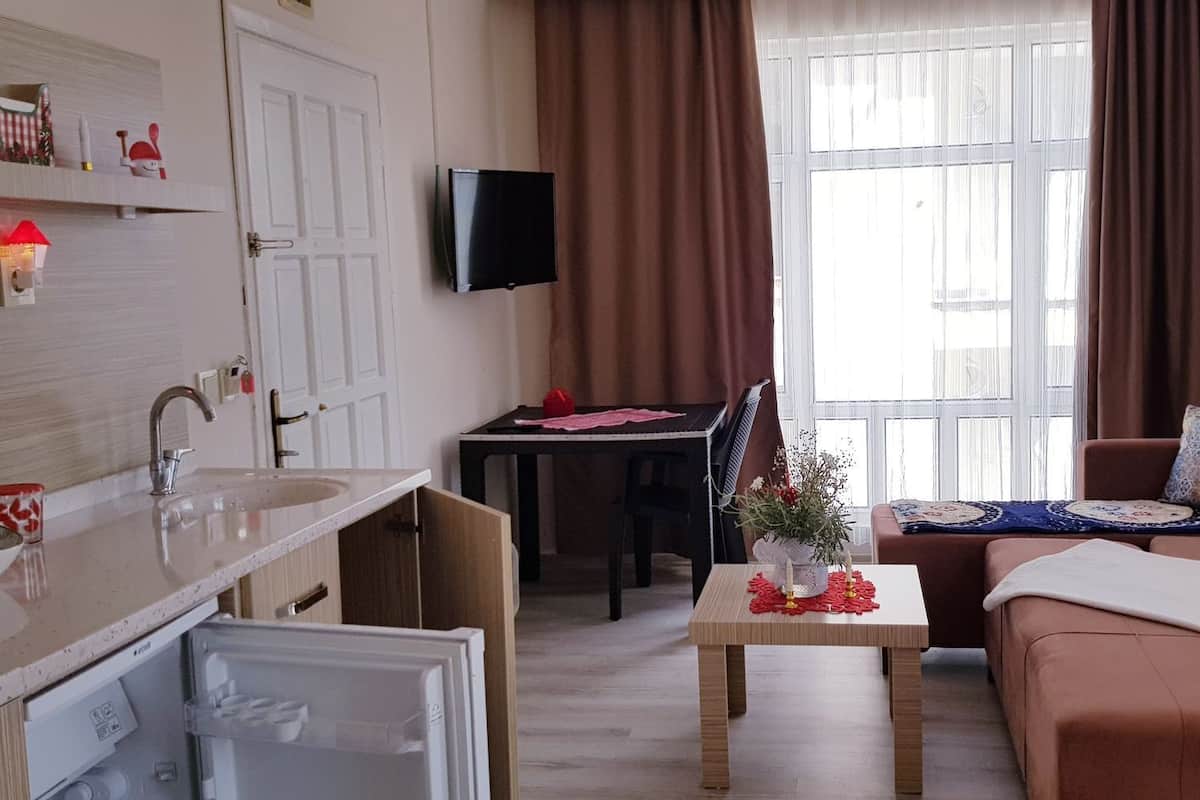 Economy Apartment | Living area