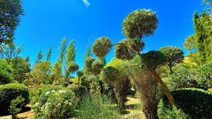 Un jardín con topiarios de diversas formas, un cielo azul despejado y un estela visible.