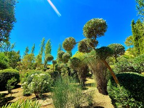 Àrea exterior de l'allotjament