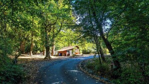 Una cabaña aislada rodeada de un bosque frondoso, accesible por un camino estrecho.