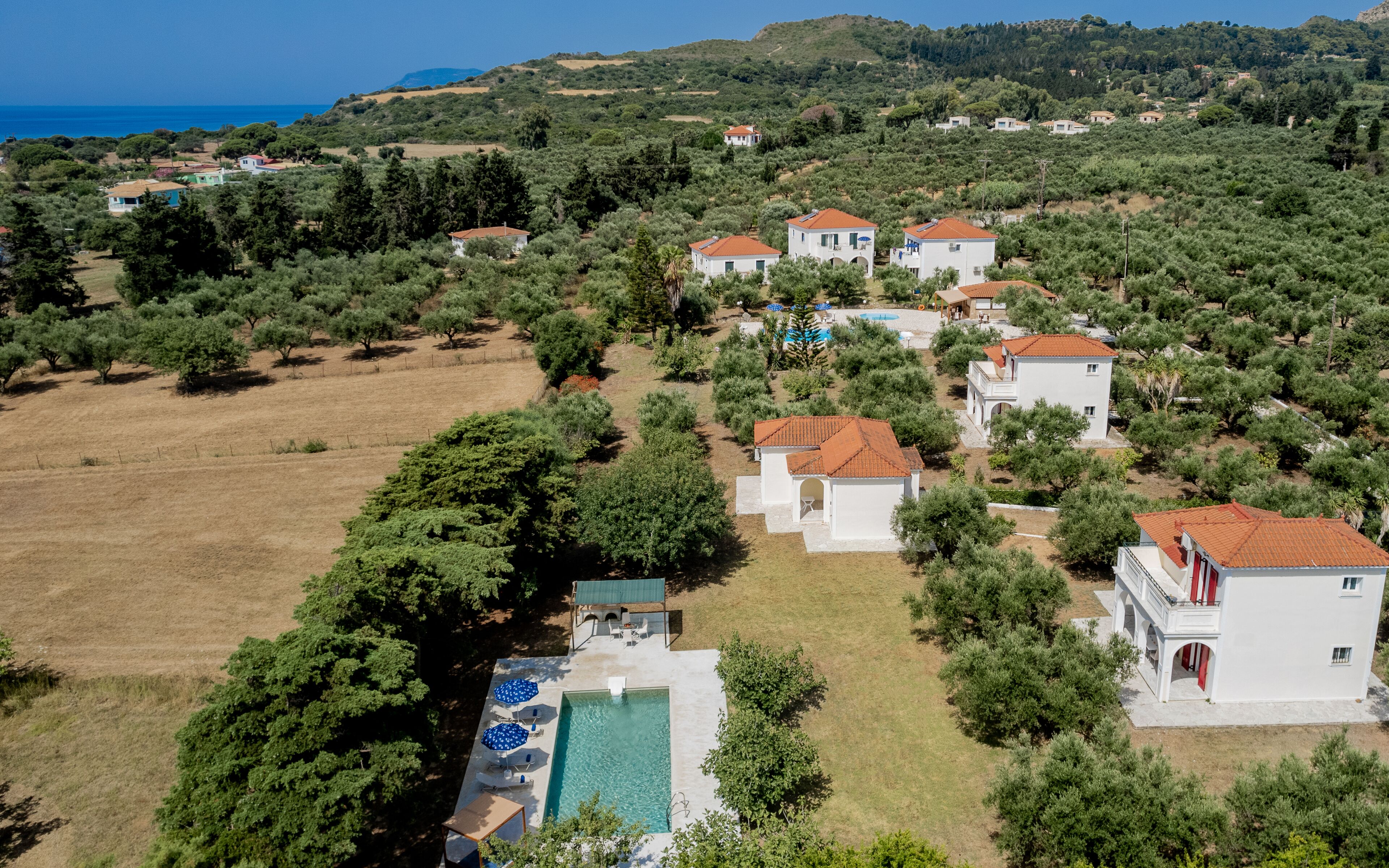 An aerial view of a residential area with houses, a swimming pool, and surrounding greenery.
