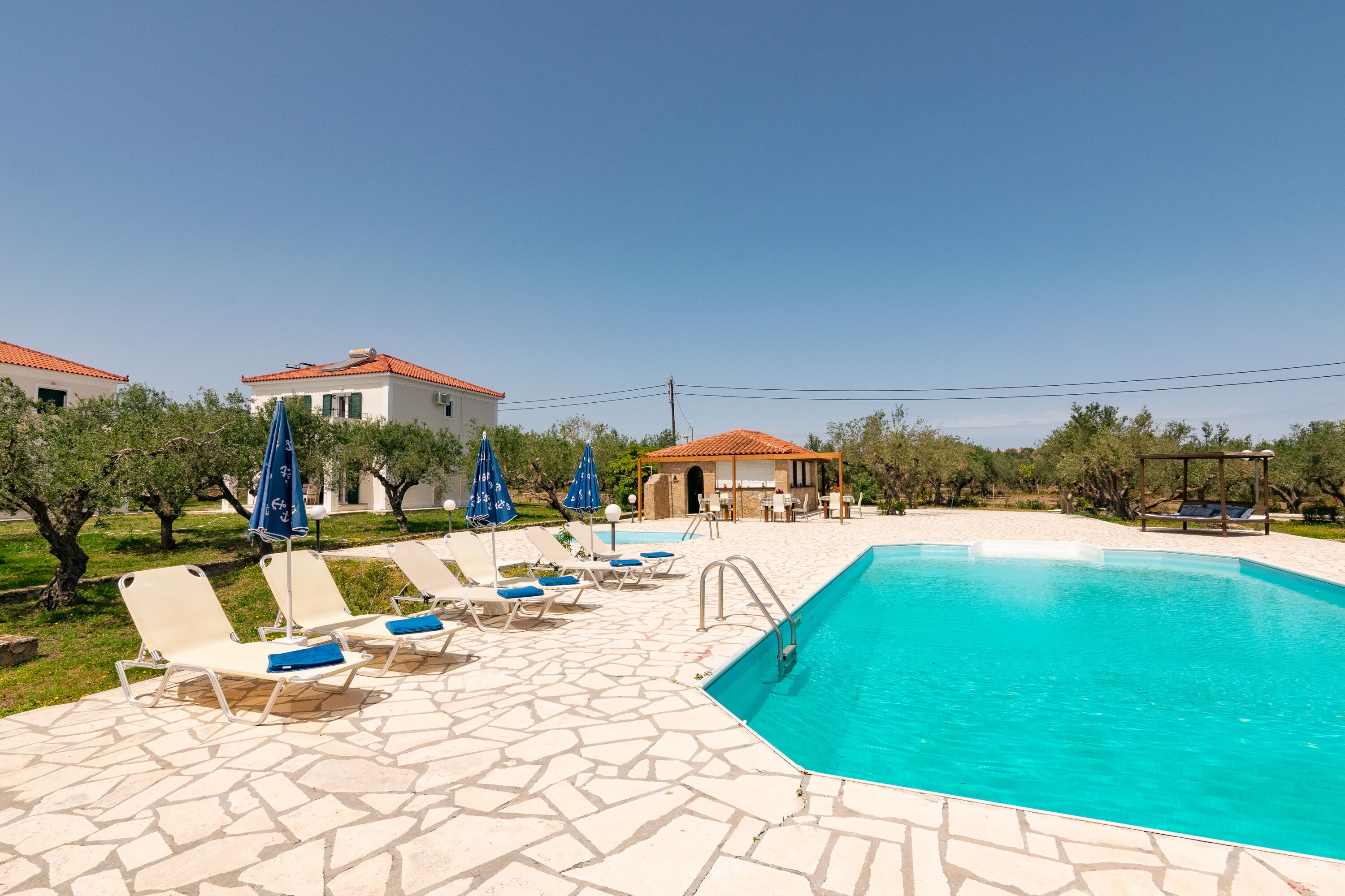 Ein Swimmingpool mit Liegestühlen und Sonnenschirmen, umgeben von Olivenbäumen und blauem Himmel.