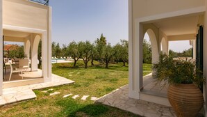 Uma área externa moderna com piscina, mobiliário de jardim e uma grande planta em vaso.