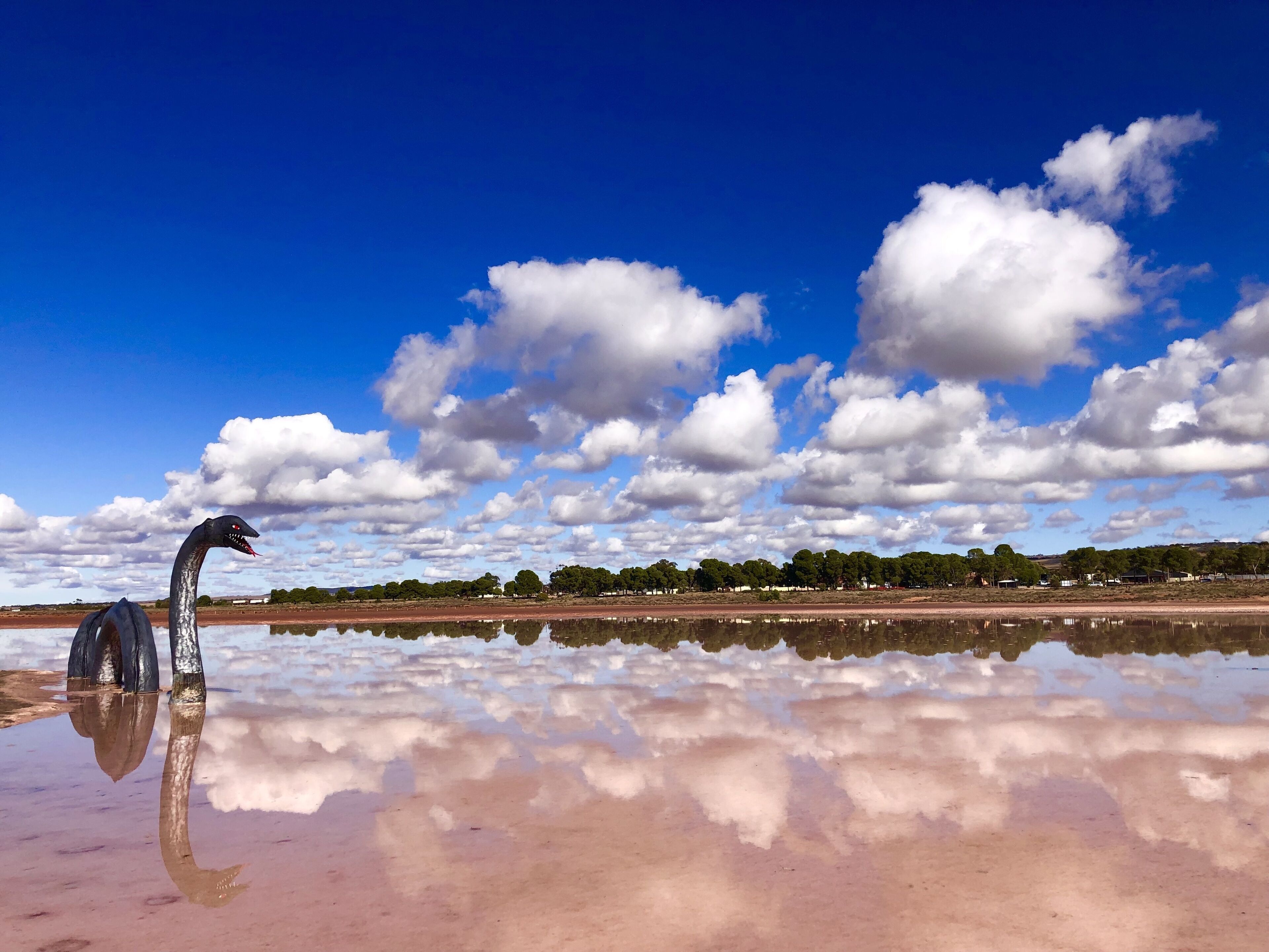 The Pink Lake Tiny House - 'Peony' - Lake Bumbunga (Lochiel) — image 14