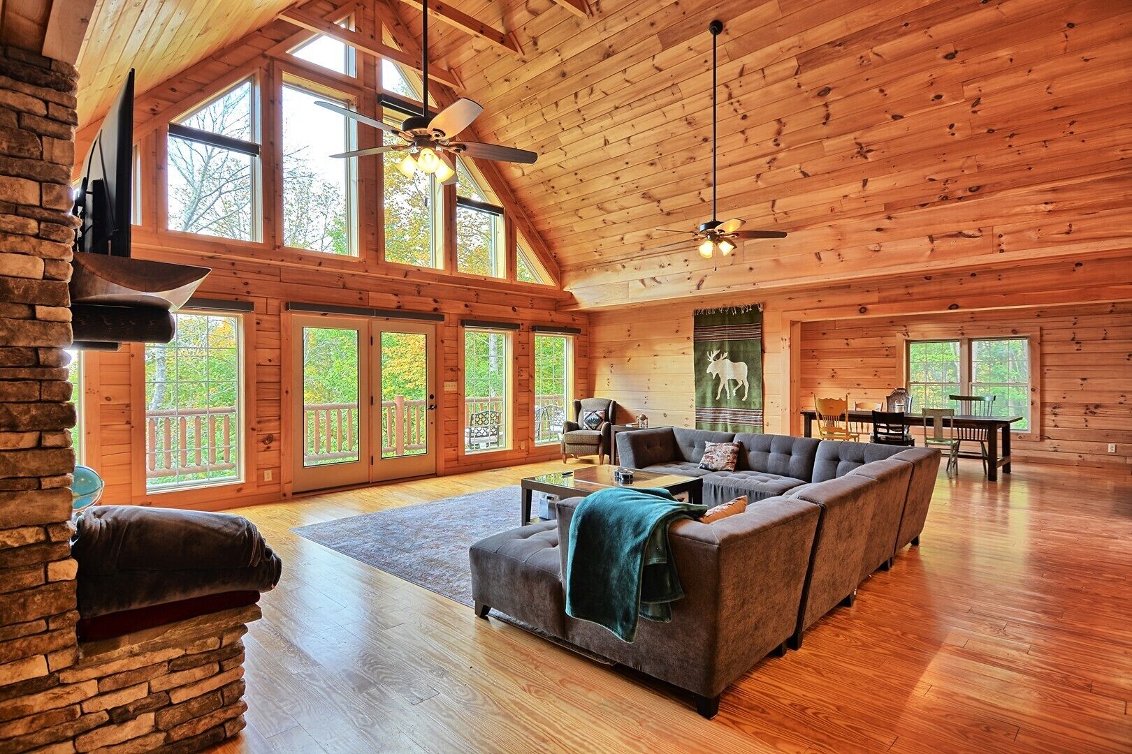 Smart TV, caminetto, tavolo da calcetto