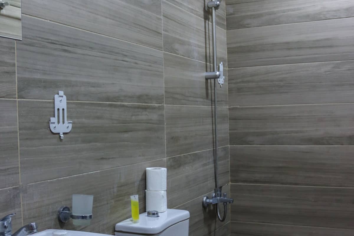 Shower, bidet, towels, soap
