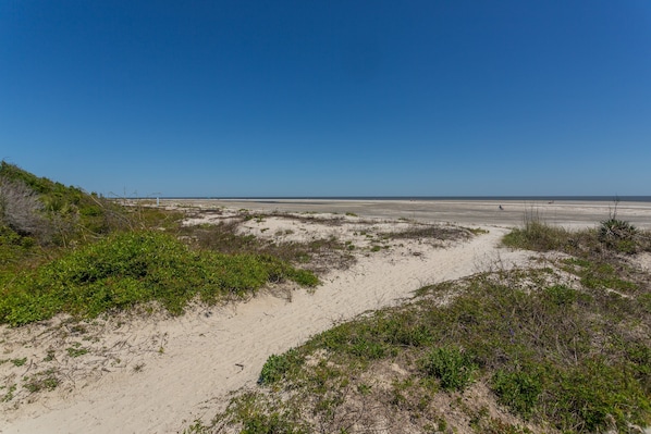 A sandy beach with sparse vegetation and a clear blue sky.