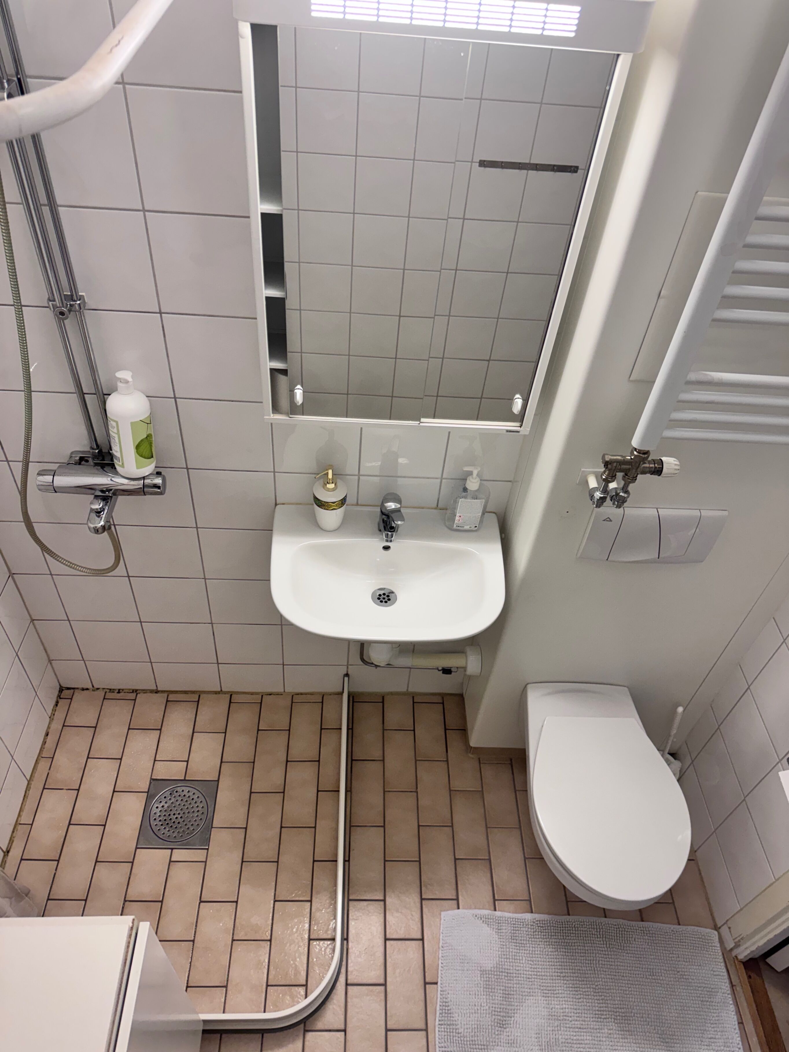 Une salle de bain avec un lavabo blanc, un miroir, des toilettes et un espace douche.