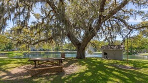 A picnic area with a bench and a grill, surrounded by a large tree with Spanish moss, near a body of water and a small shed. - Ocean Walk Condo L14 (Saint Simons Island)
