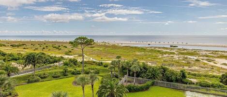 A coastal landscape with a grassy area, palm trees, and a beach in the background.