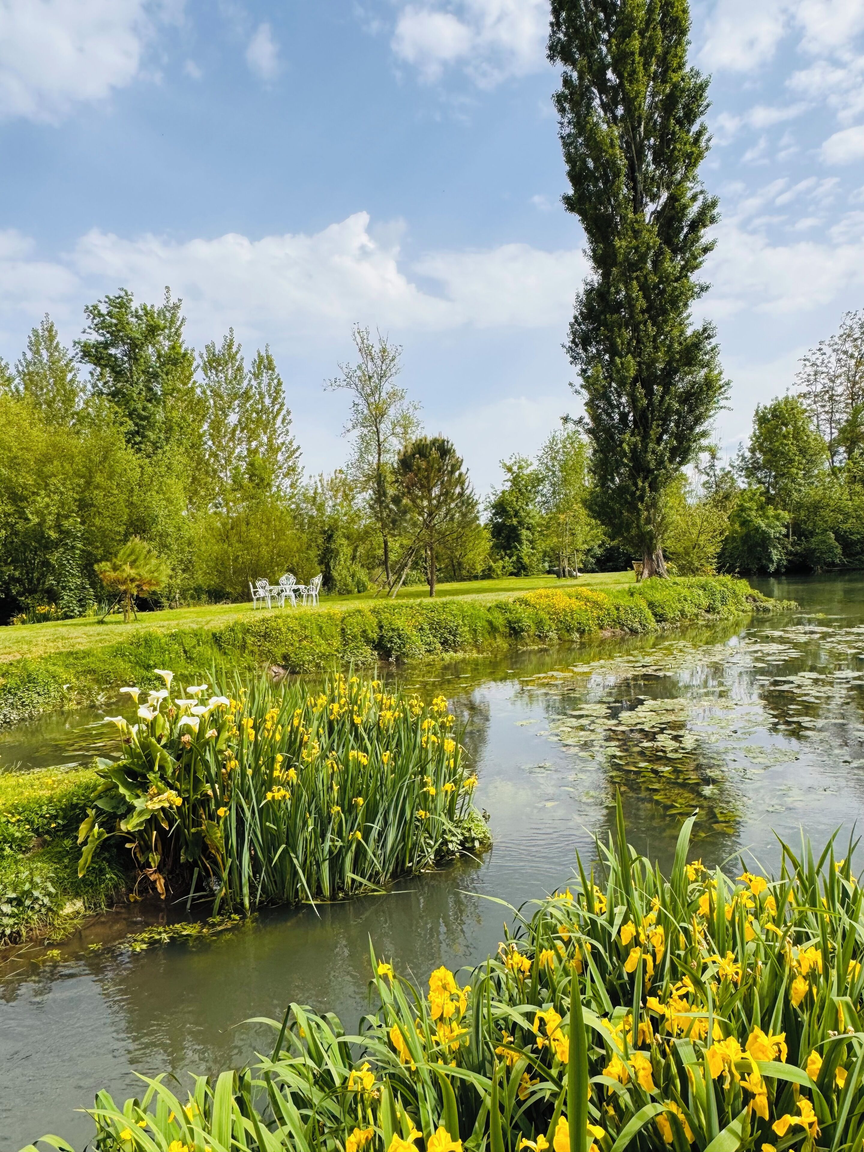 Áreas de la propiedad