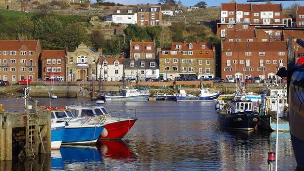 A harbor with boats docked, buildings along the waterfront, and a hill in the background. - Swallows Nest (Whitby)