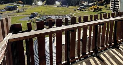 Studio avec vue sur la prairie