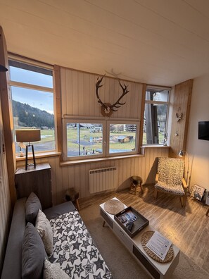 Fernseher