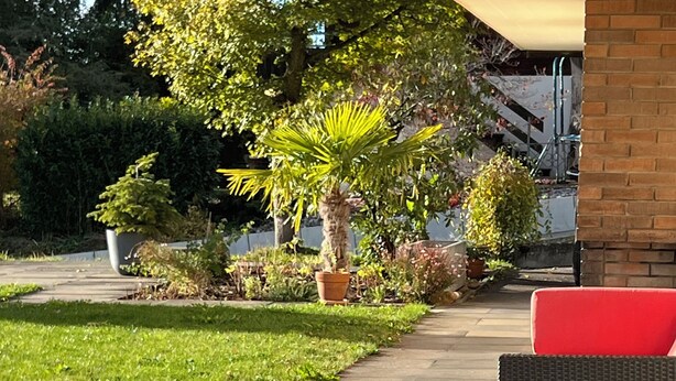 Un patio al aire libre con una mesa y sillas de vidrio, un muro de ladrillo y un sendero bordeado de follaje y plantas en macetas.