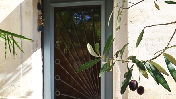 A door with a metal grille, a small step leading up to it, and a tree with green leaves and some fruit hanging over the door.