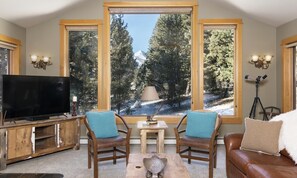 تلفزيون ذكي، مدفأة، ستيريو