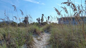 A pathway through tall grass leading to a building with a sloped roof.