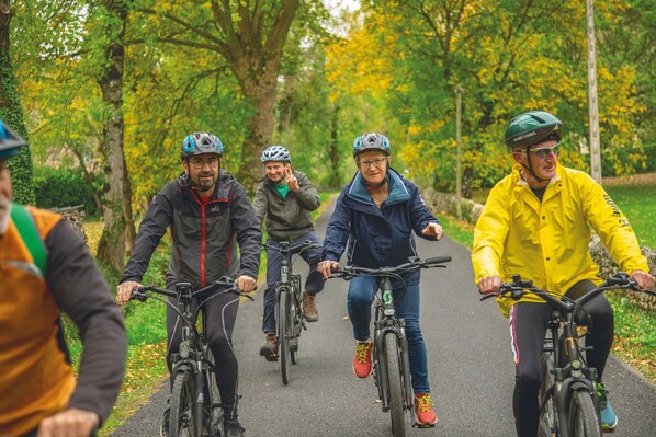Un grupo de ciclistas en un camino bordeado de árboles.