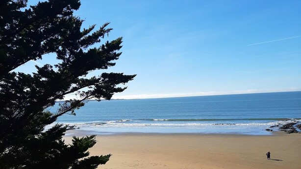 A beach with a clear sky, a person walking, and trees in the foreground.