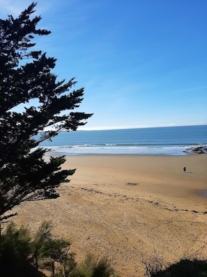 Une plage avec un ciel dégagé, une personne qui se promène et des arbres au premier plan.