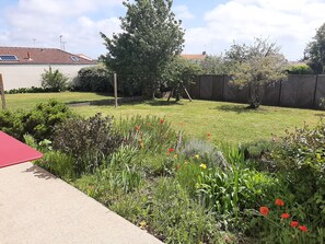 A residential garden with a lawn, various plants, and a red pathway.