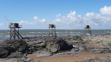Beach nearby, sun loungers