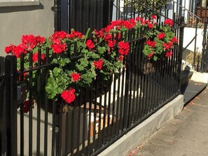 Talo (4 Bedrooms) | Sisätilat