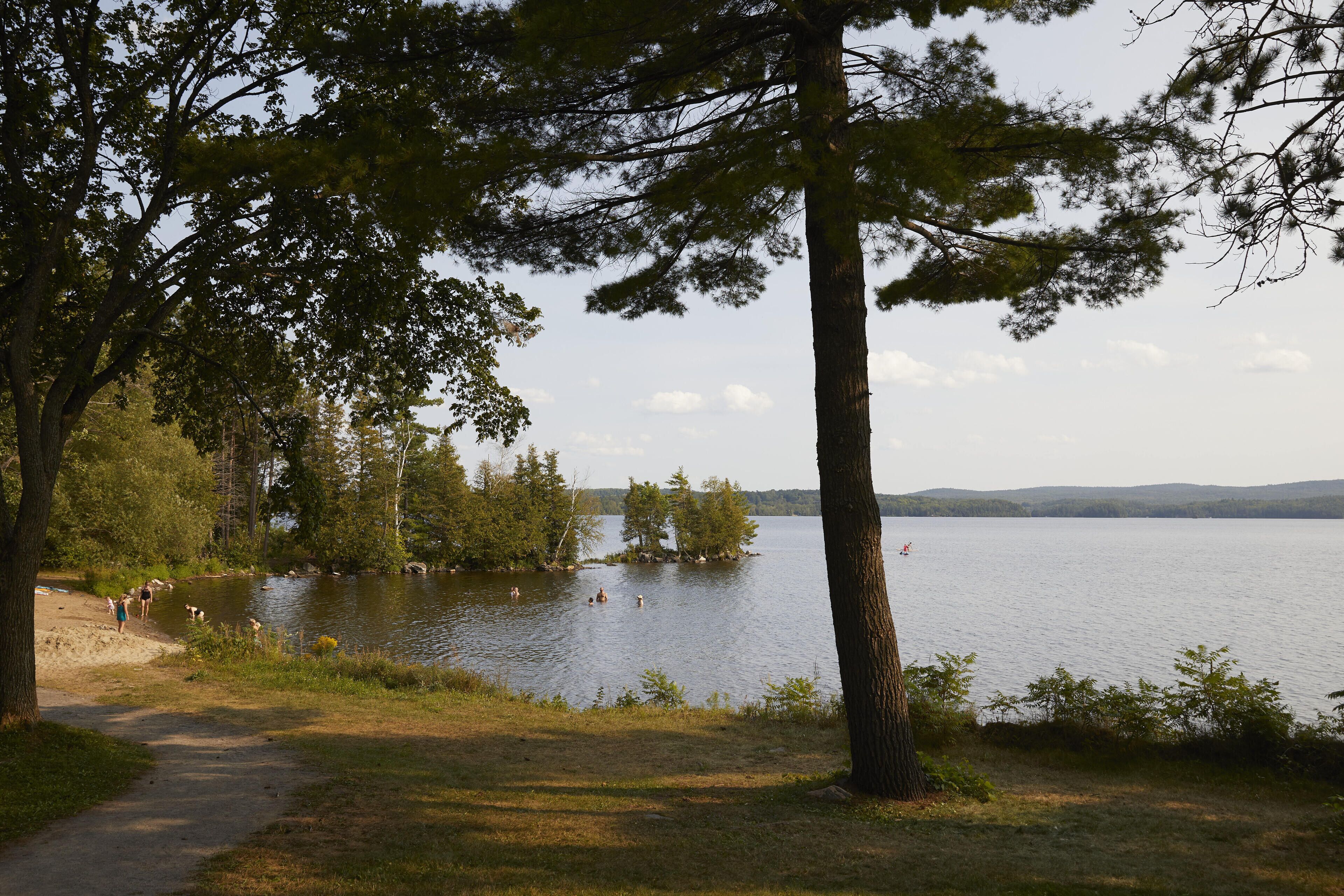 Un sendero junto al lago, con árboles y vistas al agua.