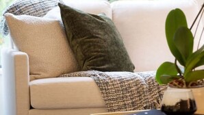 Ein modernes Wohnzimmer mit einem weißen Sofa, einer grünen Tagesdecke und einem Topf mit einer Orchidee.