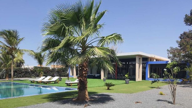 A pool area with a palm tree, lounge chairs, and a building with a blue facade. - Villa saly joseph (M'bour)