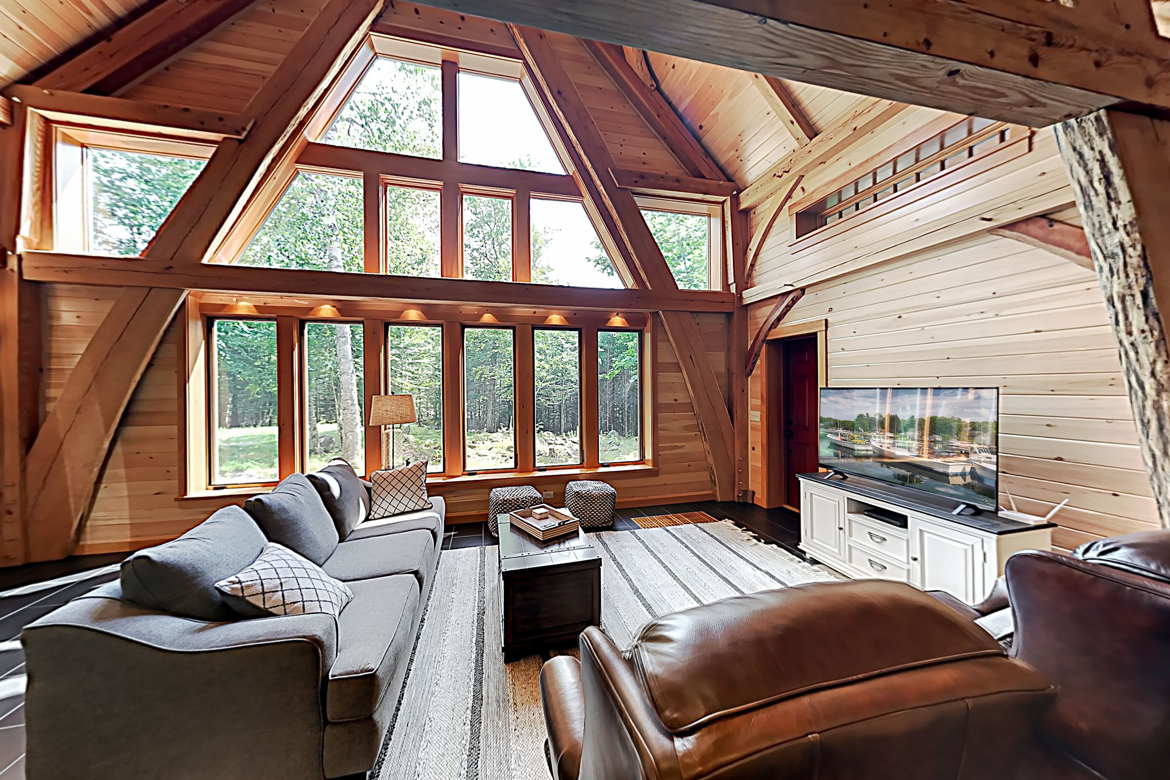 Téléviseur, livres