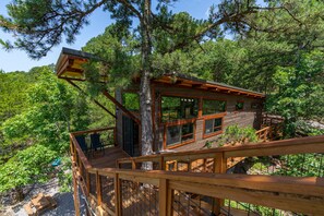 Property grounds - Modern High End Cabin #3 on Horsehead lake with private viewing tower  (Clarksville)