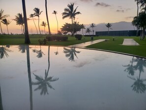 Un estanque reflectante con palmeras y un sendero que conduce a un edificio.